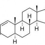 Stress lowers testosterone